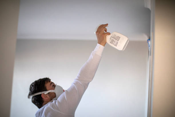 Best Affordable Mold Removal  in Meridianville, AL