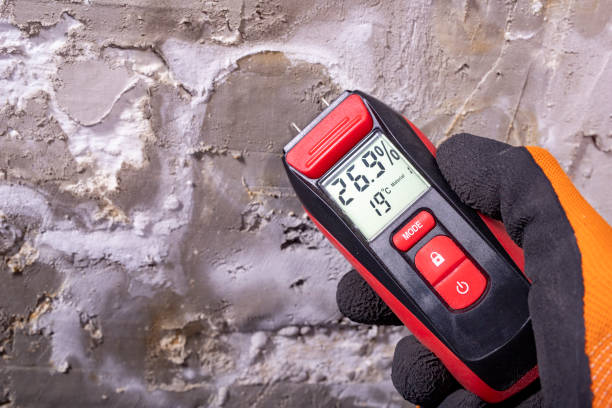 Best Water Damage Restoration  in Meridianville, AL